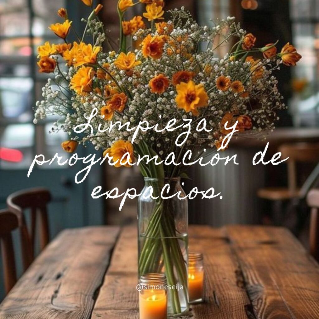 Limpieza y programación de espacios